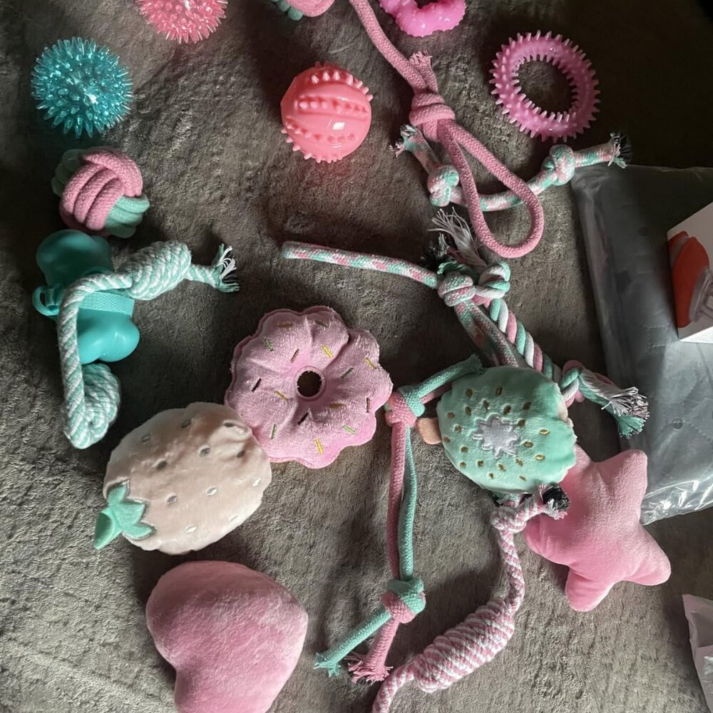 Pink Puppy Toys for Boredom - 23 Pack Puppy Chew Toys for Teething, - Picture 2 of 8